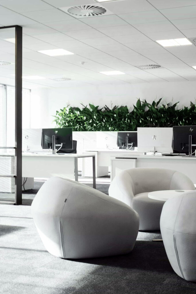Equality Release Supermarket - Head Office Fit Out